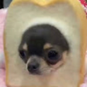 Meet your Posher, Josephine